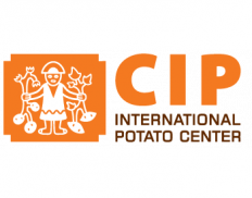 CIP - International Potato Cen