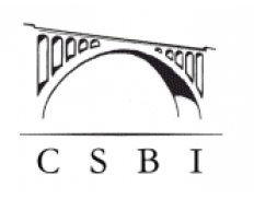 City youth public organization Center of Social and Business Initiatives