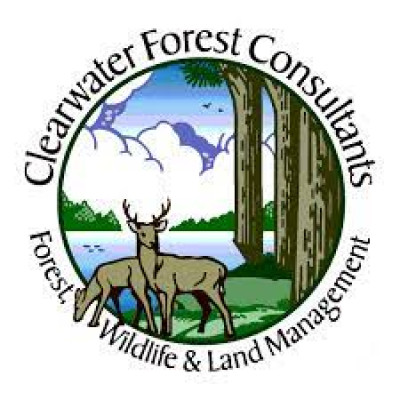 Clearwater Forest Consultants