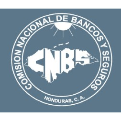 The National Banking and Insurance Commission CNBS
