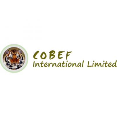 COBEF International Limited