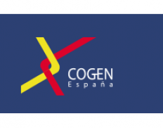 Cogen Insurance ☑️Cogen España — Consulting Organization from Spain — Energy, Research ...