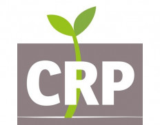 Collateral Repair Project