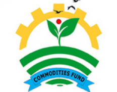 Commodities Fund