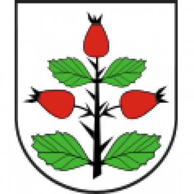 Commune Council in Rzgow (Poland)