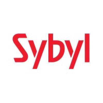 Sybyl Limited (trading As Computer Point)