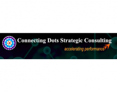 Connecting Dots Strategic Cons