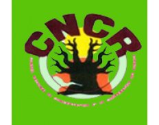CONSEIL NATIONAL DE CONCERTATI