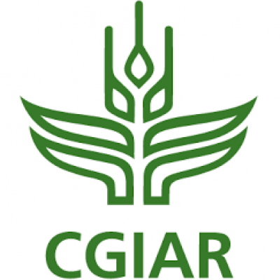 Consultative Group on International Agricultural Research (CGIAR)