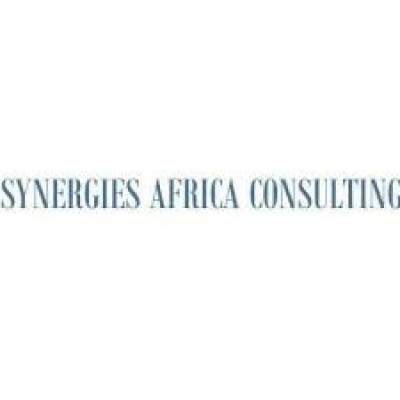 Consulting Synergies Africa