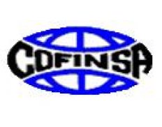 Consultores Financieros Internacionales, S. A. (COFINSA)