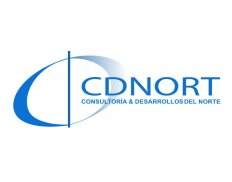 Consultoría Y Desarrollo Del N