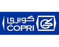 Copri Construction Enterprise W.L.L.