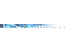 CITR - CORPORATE I.T. RESOURCE