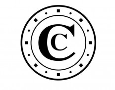 Court of Audit (Cour des Compt