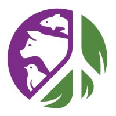 Craigslist Charitable Fund