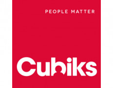 Cubiks People Matter (USA)