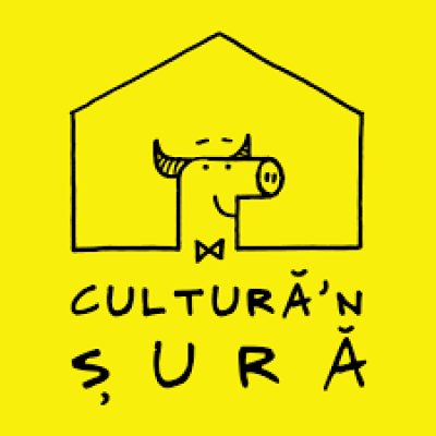 Culture Association in Sura / 