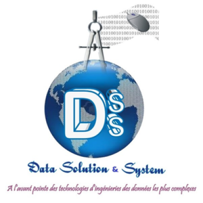 Data Solution & System