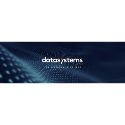 Data Systems SAECA