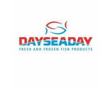 Dayseaday Frozen BV