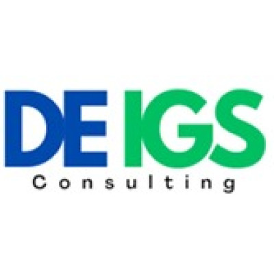 DE IGS Consulting