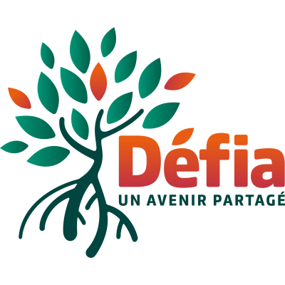 Defia - Développement Economique Foncier et d’Investissement d’Avenir