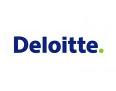 Deloitte & Touche Audit Organization LLC ( Uzbekistan)