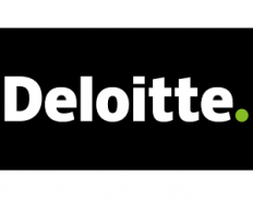 DELOITTE TOUCHE & SOLIS S.A.