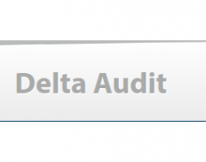 Delta Audit Deloitte