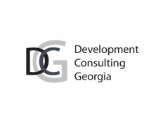 Development Consulting Georgia