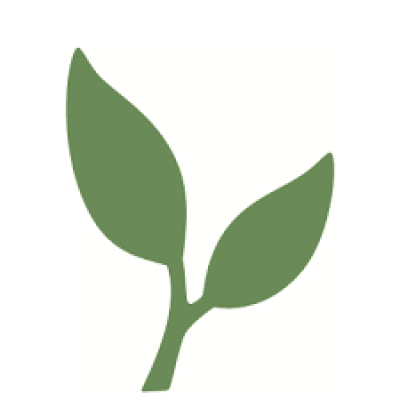 The Development Fund of Norway