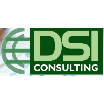 Development Strategists International Consulting, Inc. (DSIC)