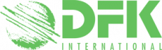 DFK Konsultant Revizija