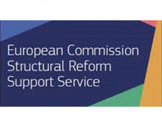 European Commission Directorate-General for Structural Reform Support