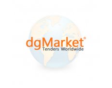 dgMarket International Inc