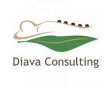 Diava Consulting