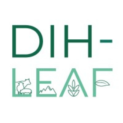 Digital Innovation Hub on Live