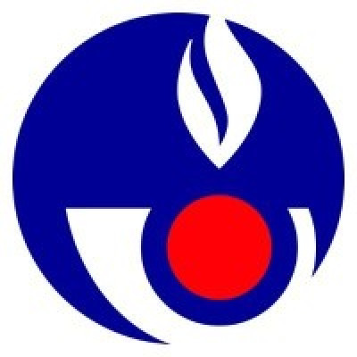 Directorate-General of Customs and Indirect Taxes (Direction générale des douanes et droits indirects, DGDDI)