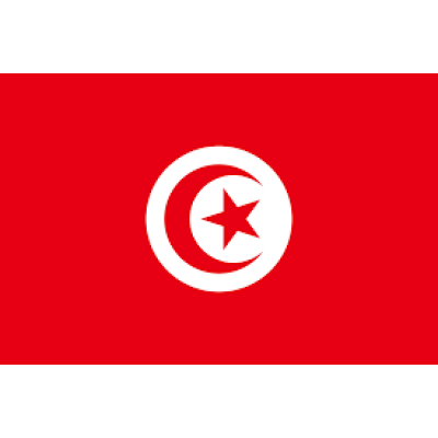 Directorate General of Financing (Tunisia)