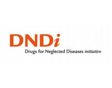 DNDi North America