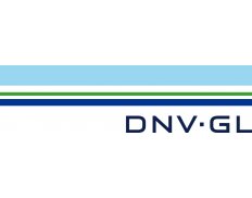 DNV - Det Norske Veritas Pte L