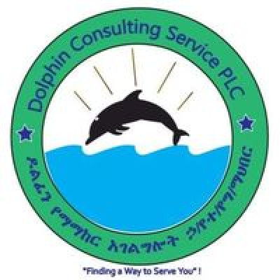 Dolphin Consulting Service PLC