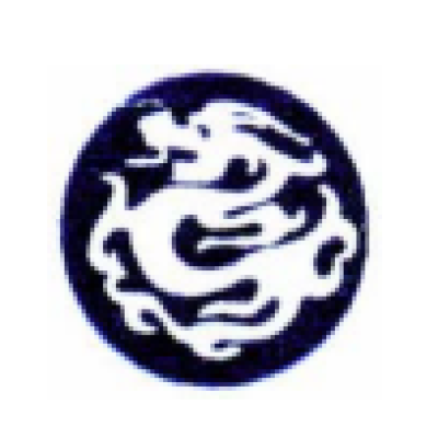 Dragon Special Resin (Xiamen) Co. Ltd. (DSR)