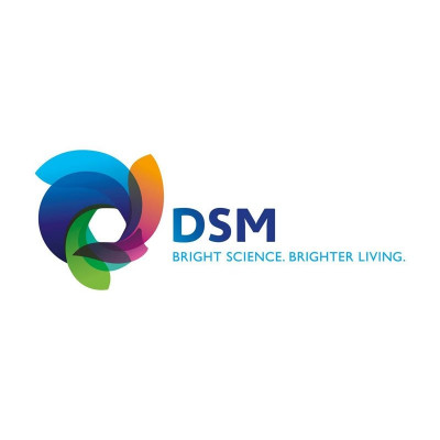 DSM III B.V. - Dutch State Mines