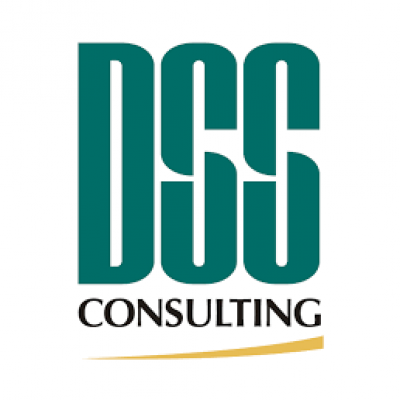 DSS Consulting Kft.