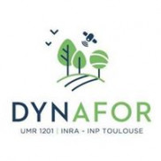 Dynafor
