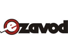 E-ZAVOD - Institute for Comprehensive Development Solutions
