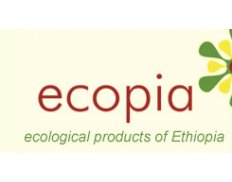 Ecopia Plc