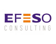 EFESO Consulting (Solving Efeso) (HQ)